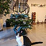 animal, black_and_white, cat, christmas_tree, curious, decor, floor, furniture, giraffe_figurine, greenery, holiday, home, indoor, interior, ornament, pet, plant, sitting, tile_floor, wooden_statue