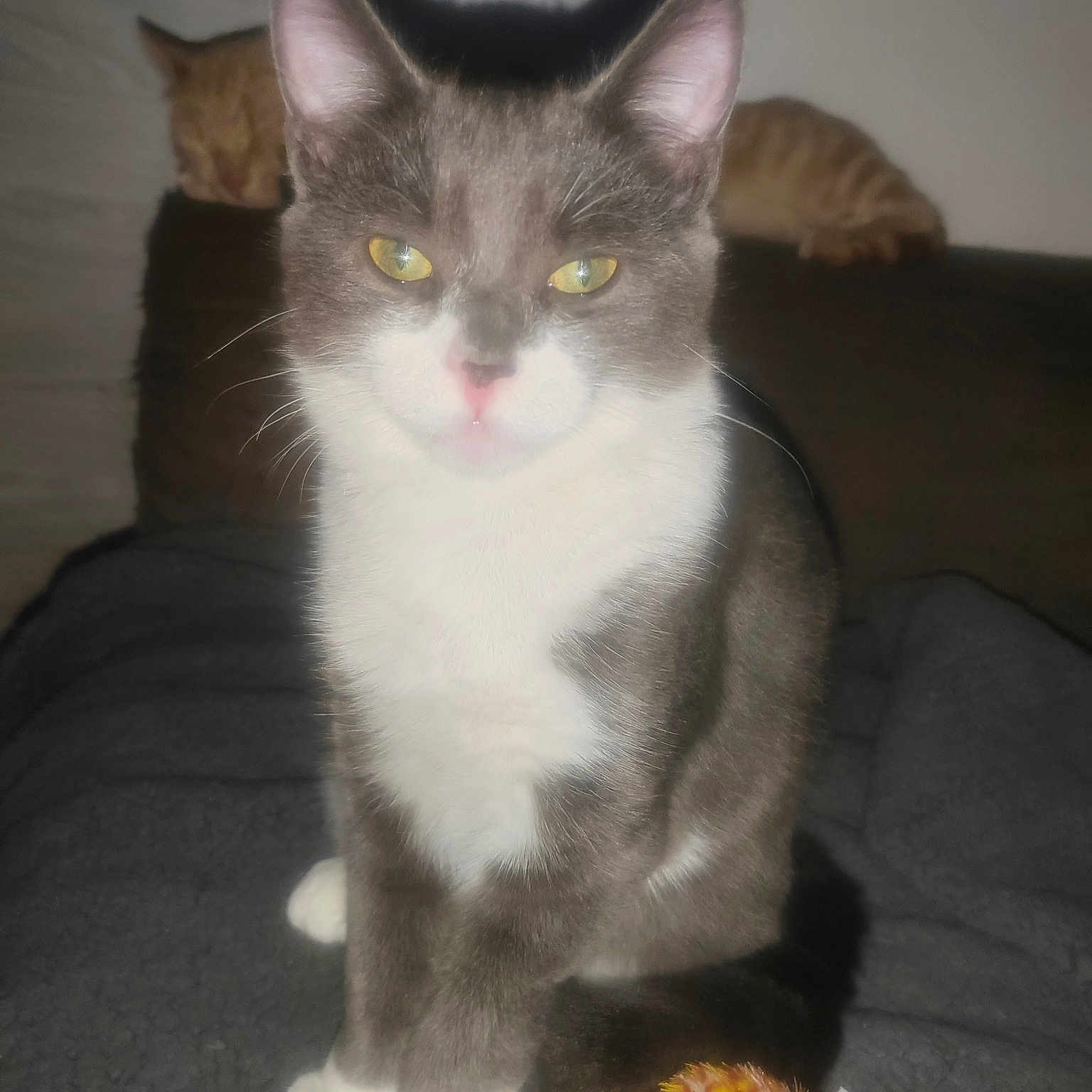 Berlioz