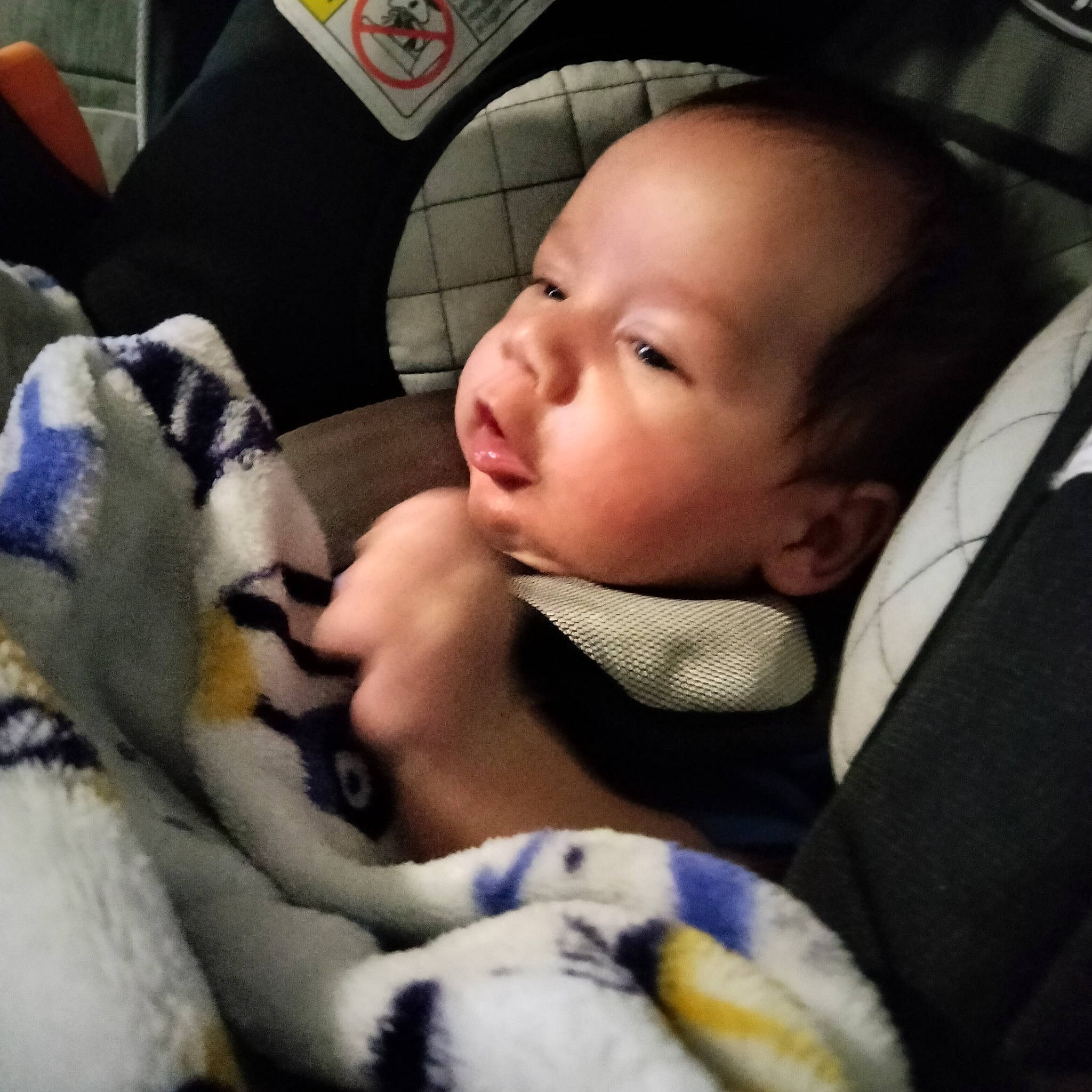 Waylen joined the competition — help win amazing prizes! baby, baby_carriage, baby_in_car_seat, baby_products, baby_safety, baby_sleeping, baby_toddler_clothing, bedtime, car_seat, cheek, child, comfort, companion_dog, finger, fur, linens, nap, person, skin, sleep