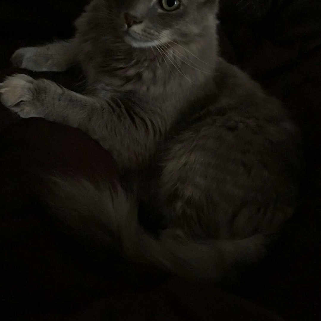 Stormy
