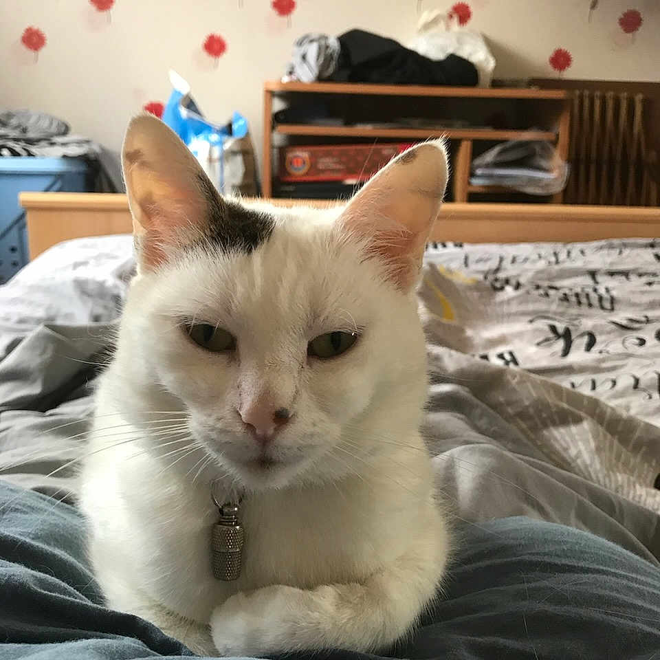 Charlie