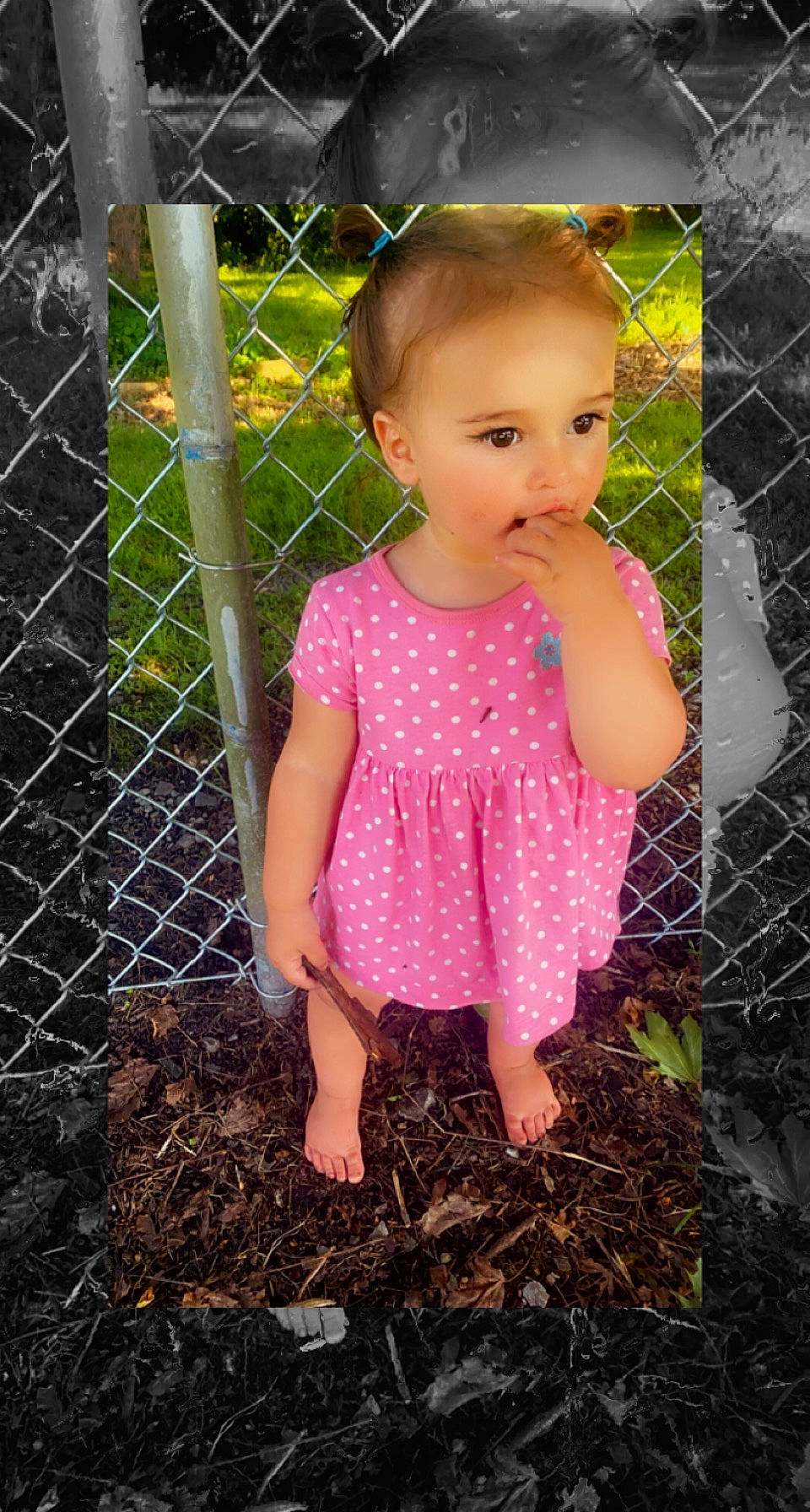 Kensleigh is registered to the contest to win money with this photo: baby, baby_toddler_clothing, dress, eye, face, fence, finger, grass, hand, happy, human_body, leaf, lip, mesh, people_in_nature, person, pink, plant, skin, toddler