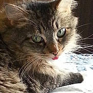 Duckie is registered to the contest to win money with this photo: