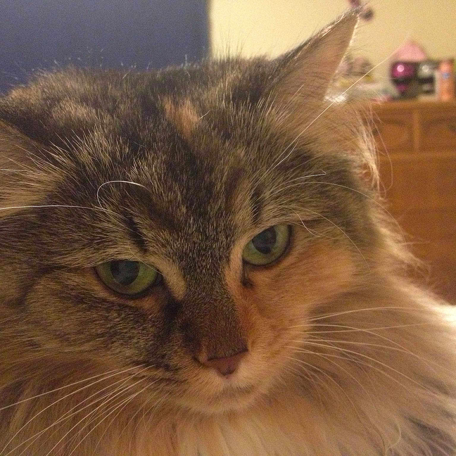Precious