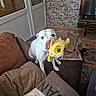 dog, white_dog, pet, plush_toy, yellow_toy, couch, sofa, cushions, blanket, living_room, indoor, brick_wall, television, carpet, wood_floor, sitting, portrait, funny, home_decor, photography