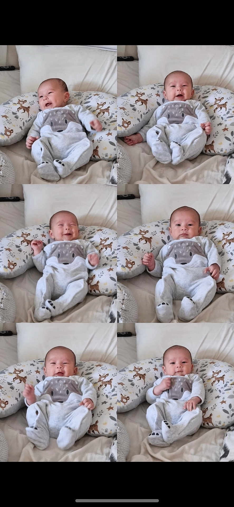 Aaron