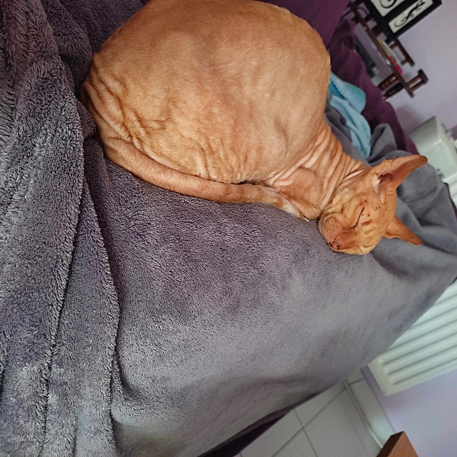 Bigoudi