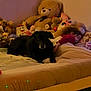bed, blanket, child, couch, dog, furniture, indoors, night, pillow, plush_toy, room, sleeping, stuffed_animal, toy, teddy_bear, wall, woman, young_child, black_dog, cozy