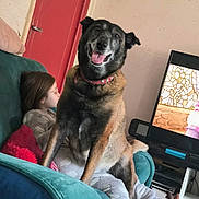 Princesse a rejoint le concours — aidez-le/la à gagner de superbes lots ! dog, child, armchair, television, plush_toy, pajamas, indoor, furniture, smiling_dog, glasses, red_door, couch, living_room, happy, pet, home, toy, relaxing, seated, casual