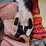 Fripouille a rejoint le concours — aidez-le/la à gagner de superbes lots ! cat, black_and_white, sleeping, fluffy_blanket, pillow, cozy, indoor, relaxed, pet, animal, feline, soft_texture, comfort, resting, cute, stretching, fur, pink, orange, home