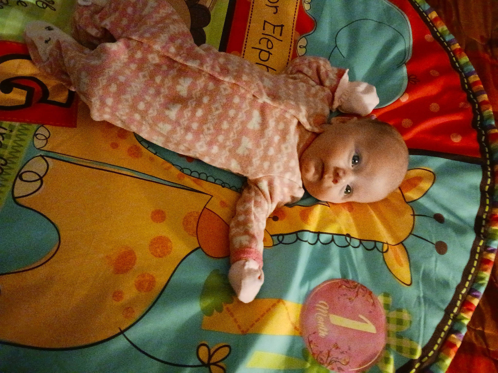 Rachel joined the competition — help win amazing prizes! art, baby, baby_products, baby_toddler_clothing, baby_toys, brown, cheek, child, craft, creative_arts, leaf, linens, orange, pattern, person, pink, skin, textile, toddler, toy