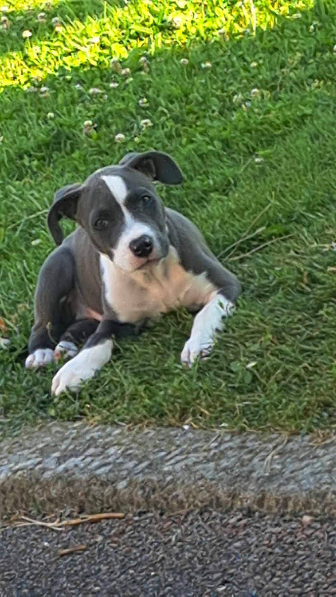 Ayko