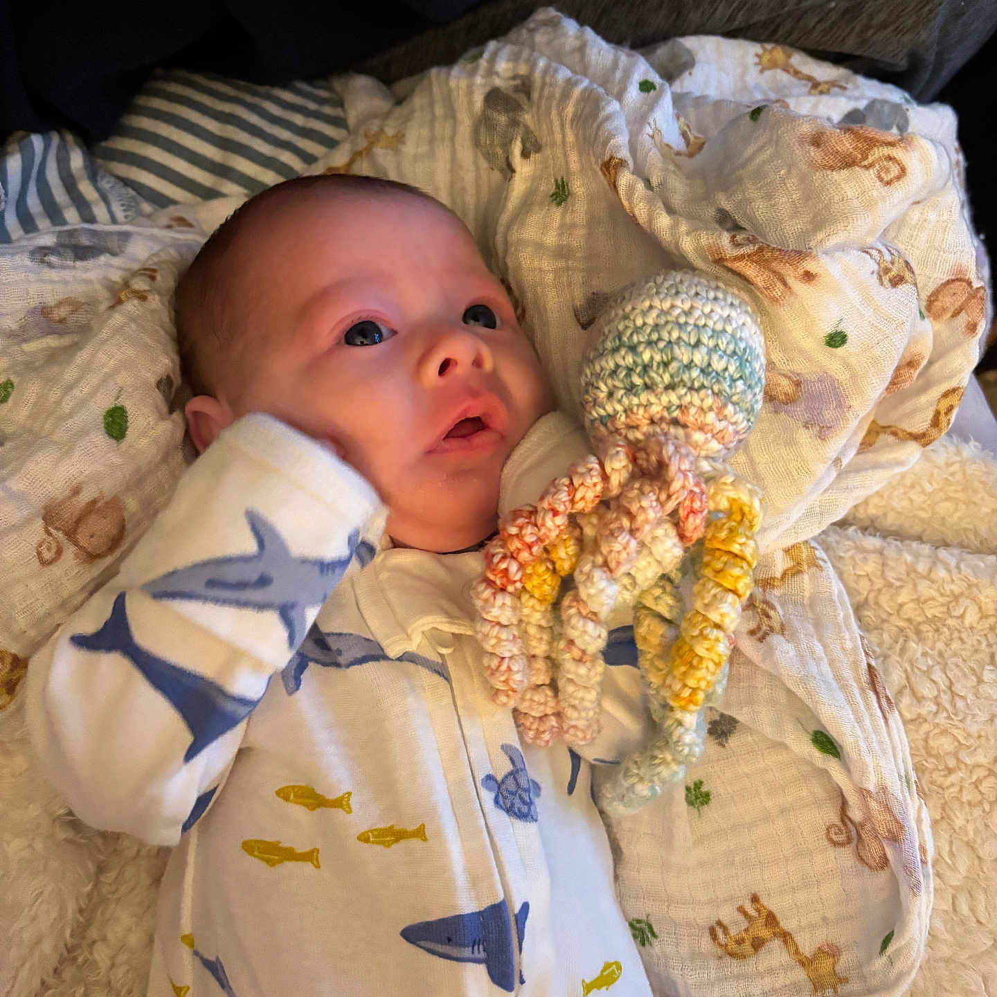Denton is registered to the contest to win money with this photo: baby, blanket, blue, child, comfort, cozy, crocheted_toy, curious, cute, indoor, infant, lying_down, newborn, octopus_toy, onesie, patterned_clothing, shark_print, soft_texture, white, yellow