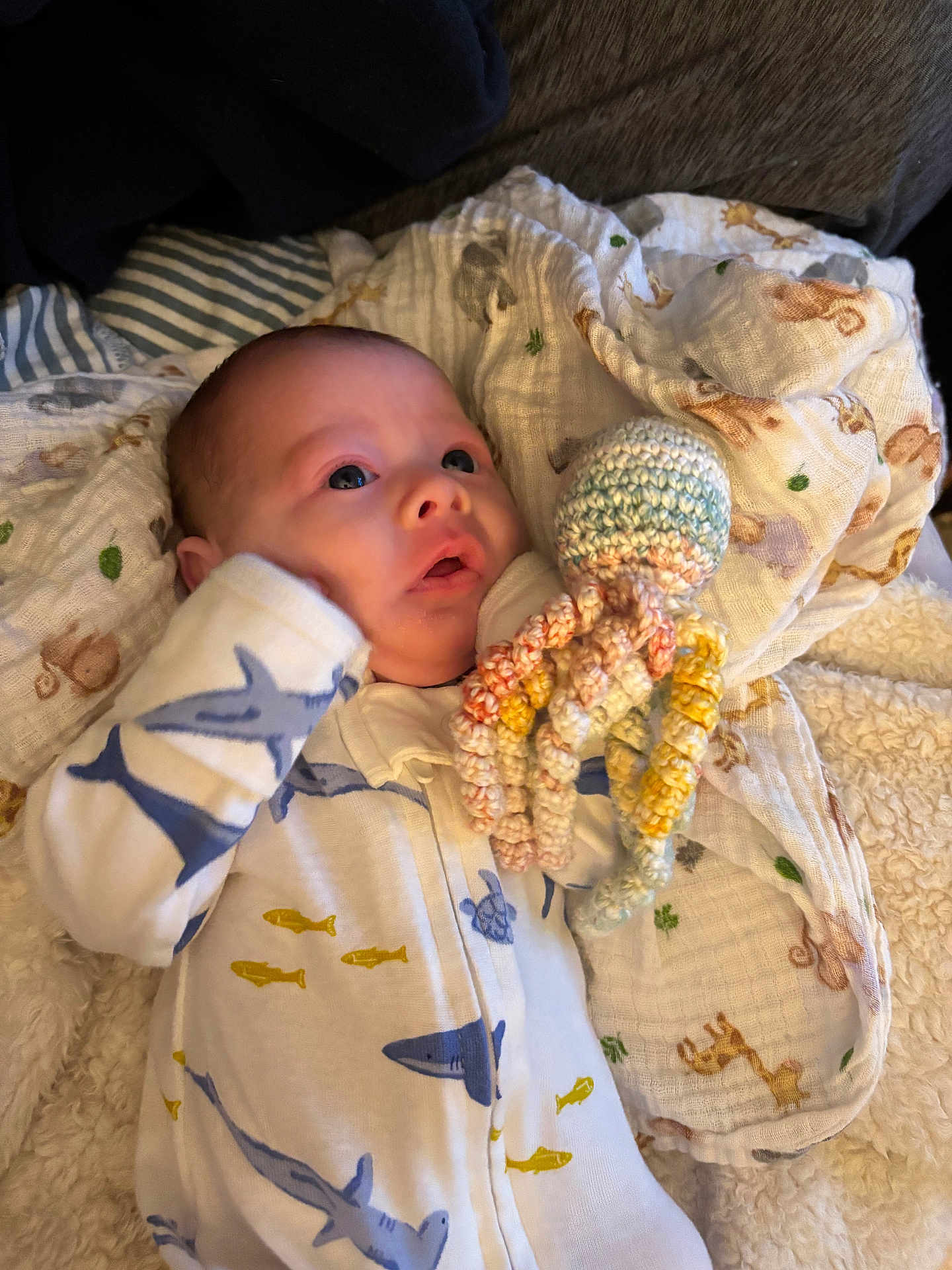 Denton is registered to the contest to win money with this photo: baby, infant, onesie, shark_print, crocheted_toy, octopus_toy, blanket, cozy, cute, child, lying_down, soft_texture, indoor, curious, blue, yellow, white, patterned_clothing, newborn, comfort