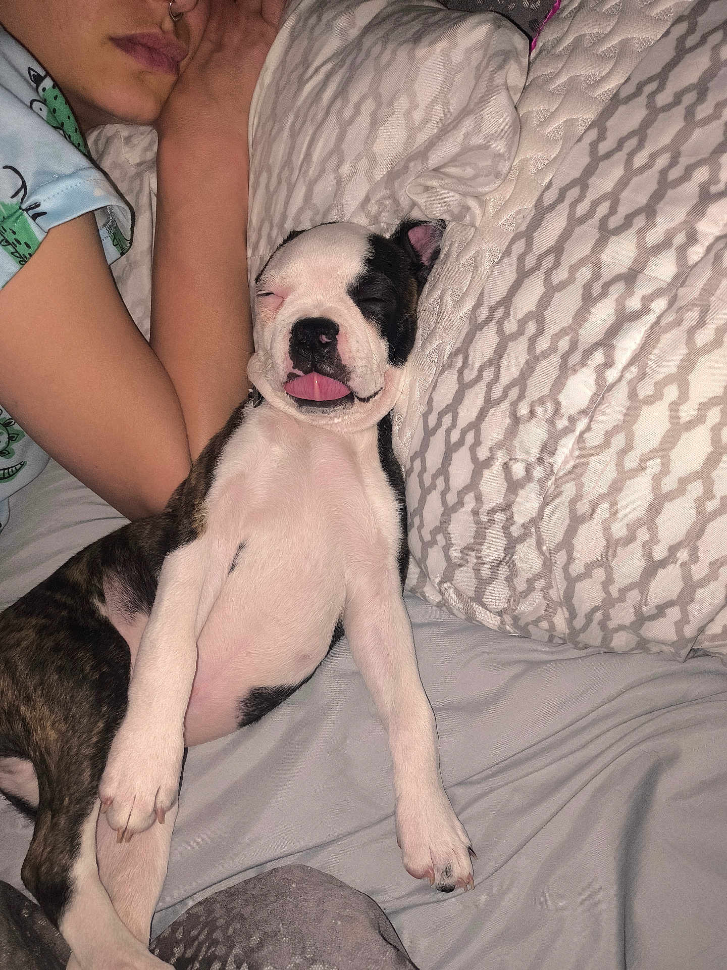 Bowser