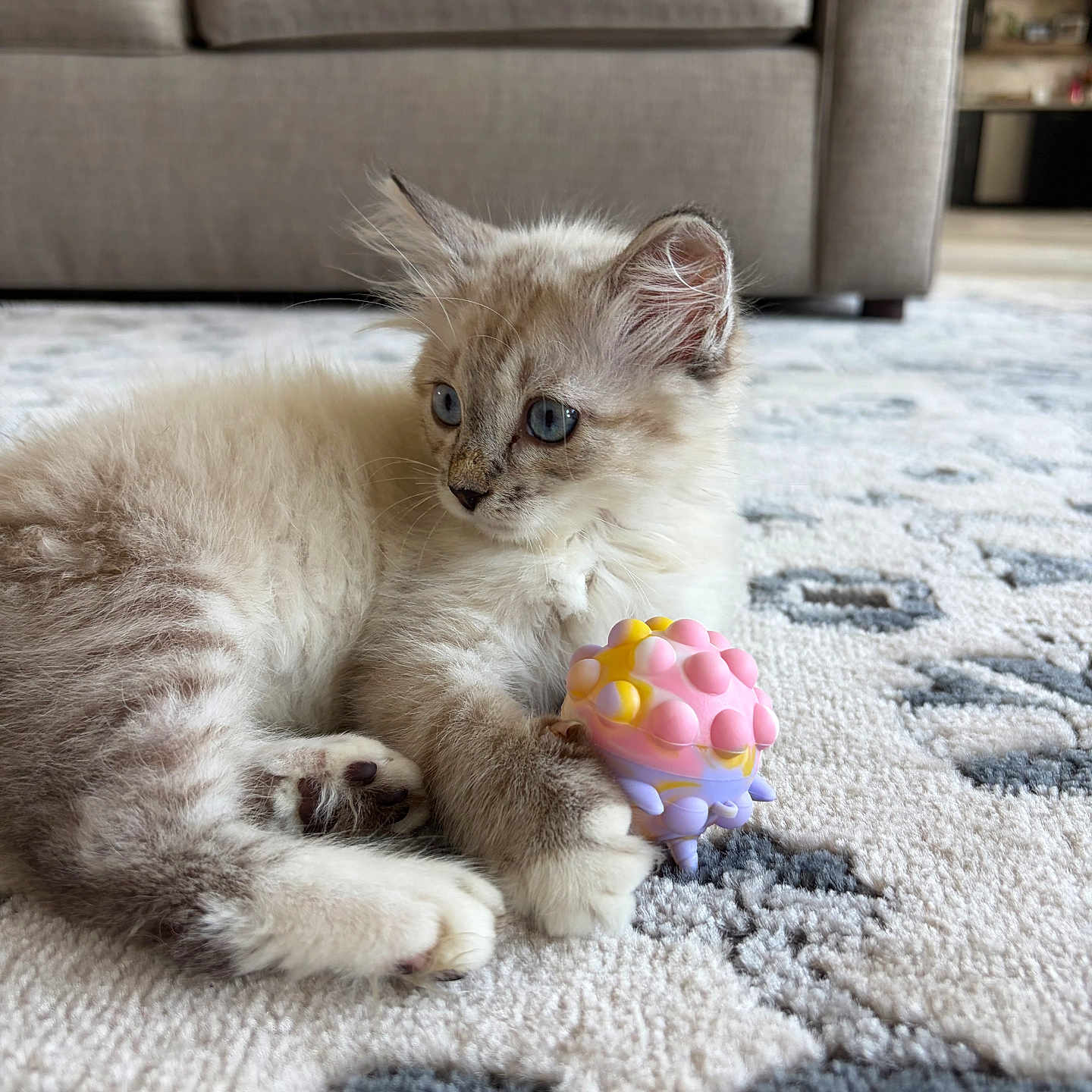 Lola