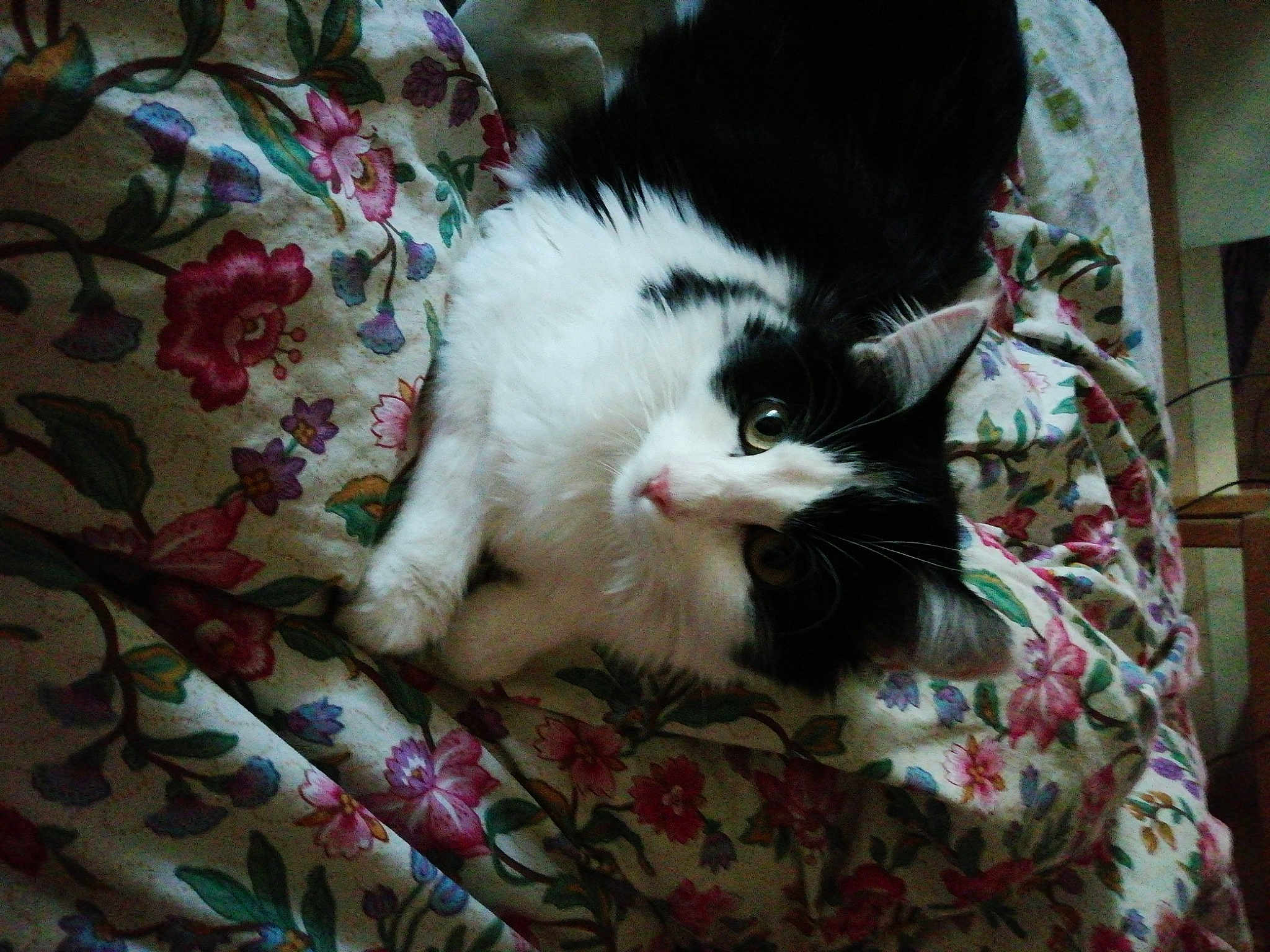 Betty