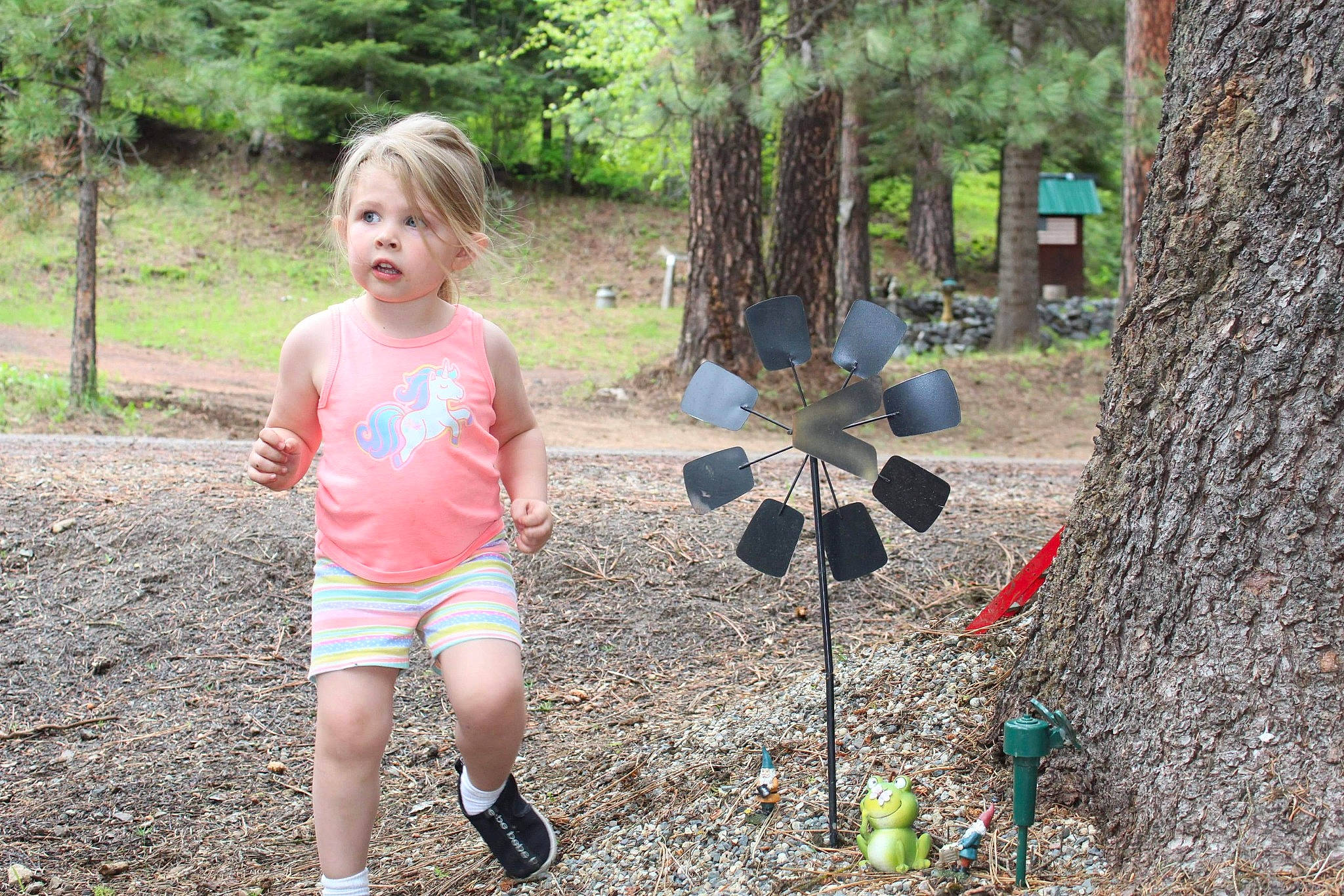 Kiera joined the competition — help win amazing prizes! child, forest, fun, leisure, park, person, plant, play, recreation, running, soil, state_park, style, trail, tree, vacation, woodland