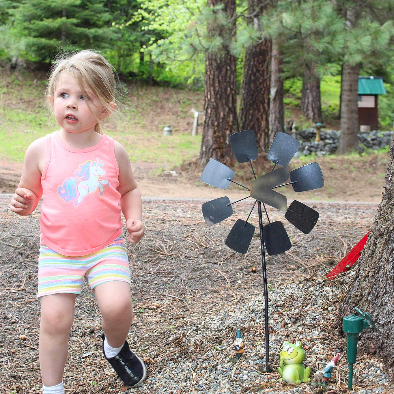 Kiera joined the competition — help win amazing prizes! child, forest, fun, leisure, park, person, plant, play, recreation, running, soil, state_park, style, trail, tree, vacation, woodland
