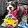 Sadie