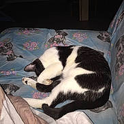 Louna participe au concours pour gagner de l'argent avec cette photo :