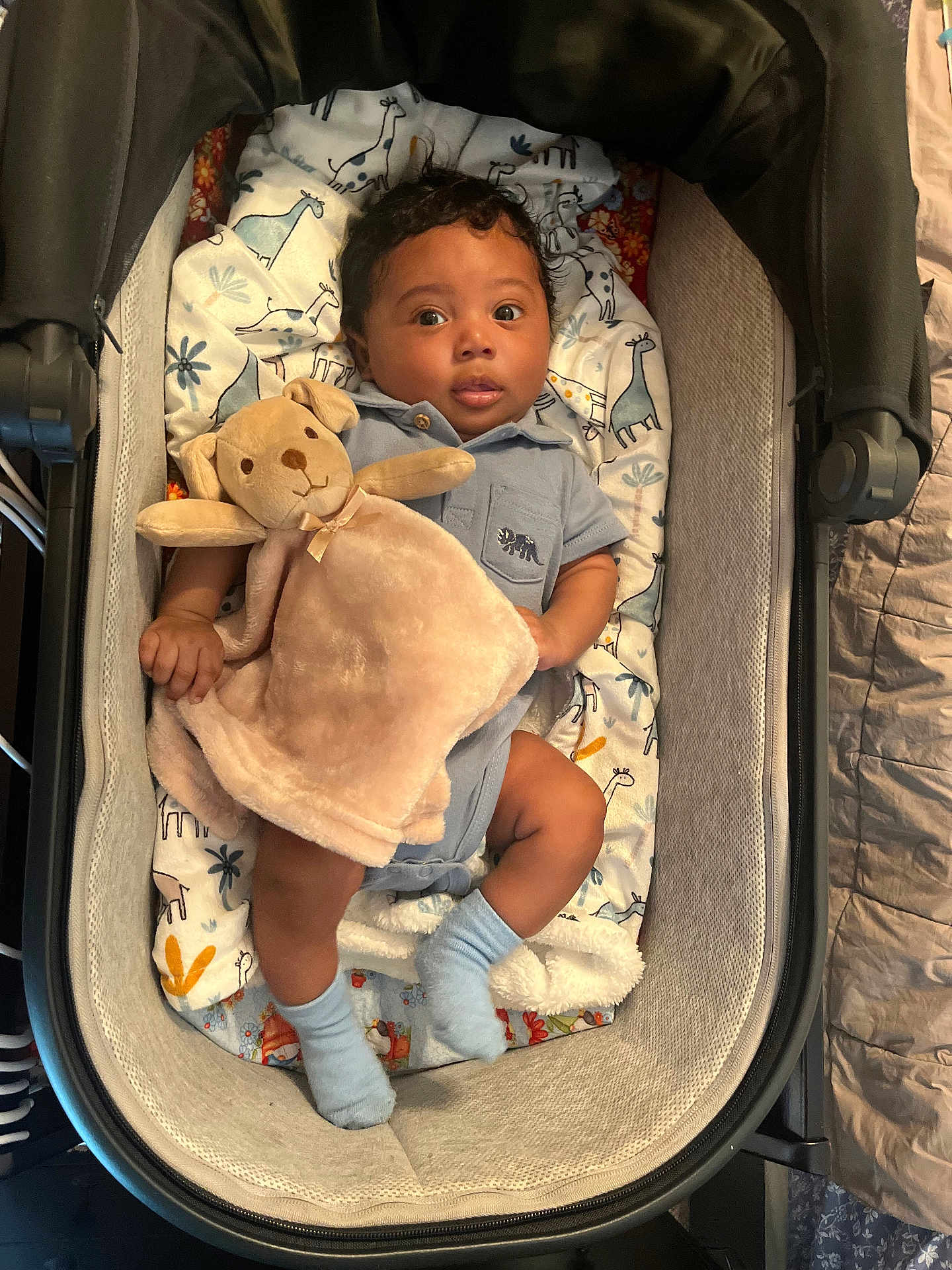 Jace joined the competition — help win amazing prizes! baby, stroller, plush_toy, blanket, giraffe_pattern, cushion, blue_socks, curly_hair, infant, cute, child, indoor, soft_toy, person, face, sleeping_area, cozy, comfort, resting, portrait