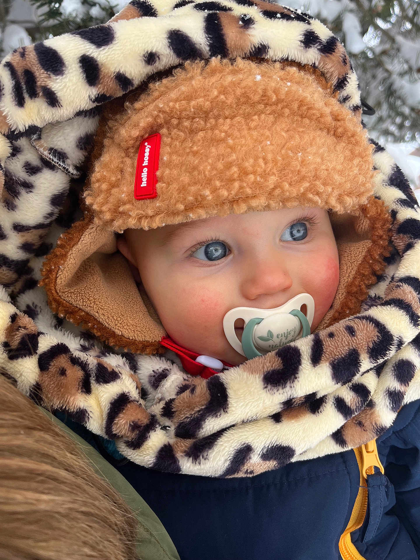 Léandre participe au concours pour gagner de l'argent avec cette photo : baby, child, face, blue_eyes, winter_clothing, hat, pacifier, scarf, leopard_print, fuzzy, snow, outdoor, cold_weather, cute, portrait, close_up, warm_clothes, jacket, red_cheeks, curious