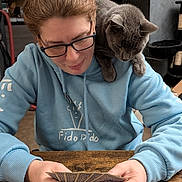 Lapis participe au concours pour gagner de l'argent avec cette photo : card_game, casual_clothing, cat, curious, focused, furniture, game, glasses, gray_cat, home, hoodie, indoor, person, pet, playing_cards, relaxed, shoulder, sitting, table, wooden_table