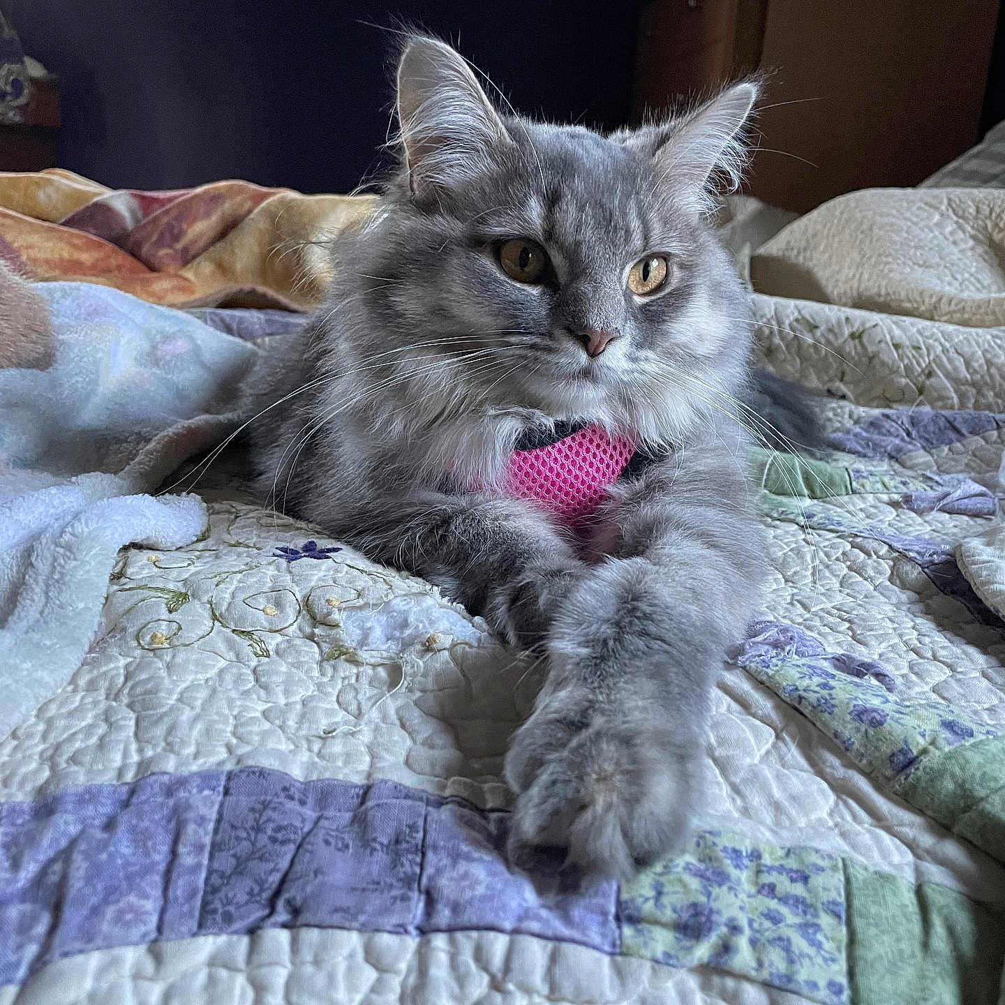 Bubbie