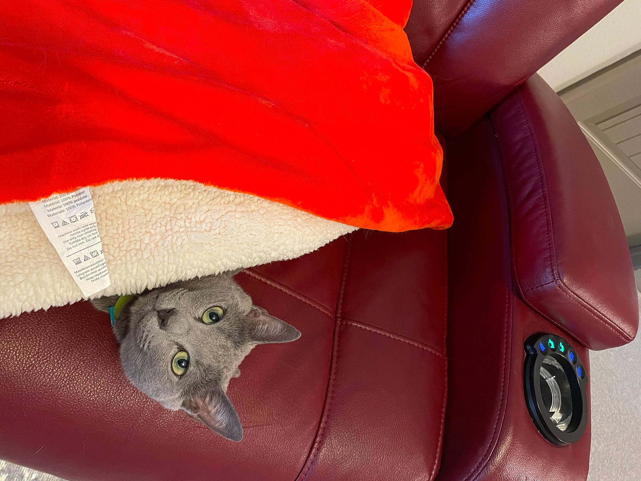 Bradley joined the competition — help win amazing prizes! automotive_design, automotive_exterior, automotive_lighting, automotive_tail_brake_light, automotive_wheel_system, bumper, carmine, coquelicot, fashion_accessory, fender, fur, hood, magenta, motor_vehicle, peach, petal, red, terrestrial_animal, tints_and_shades, vehicle_door