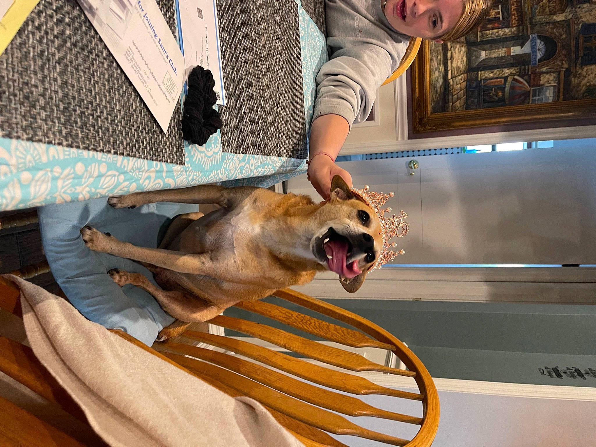 Baxter joined the competition — help win amazing prizes! companion_dog, cooking, cuisine, cutlery, dish, dog, fast_food, fawn, fork, ingredient, kitchen_utensil, meat, metal, recipe, tableware, wood