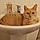 Minou