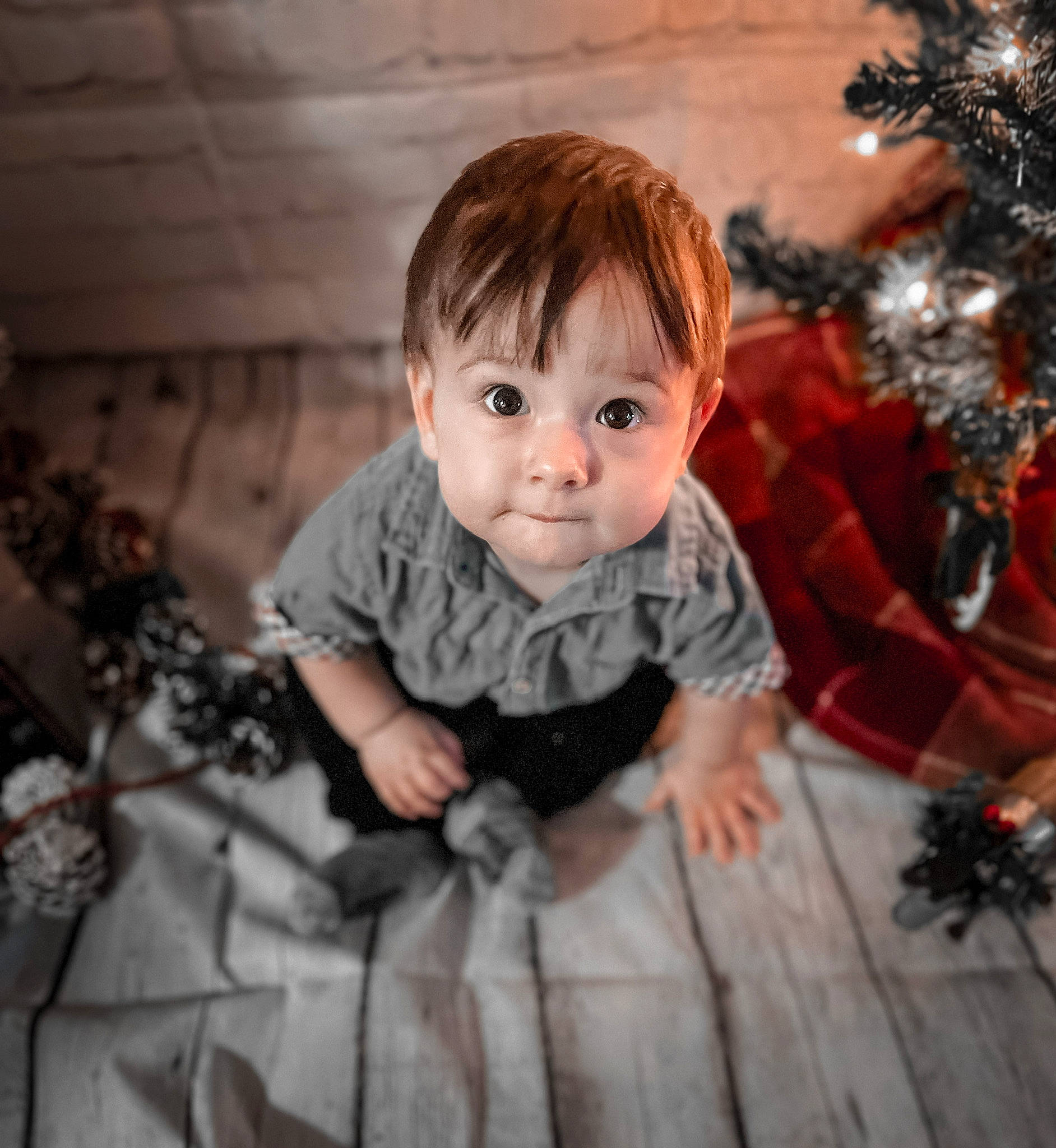 Ezra joined the competition — help win amazing prizes! baby, baby_toddler_clothing, child, christmas_tree, eye, flash_photography, flooring, fun, happy, head, holiday_ornament, human_body, leaf, ornament, person, plant, sleeve, standing, toddler, tree