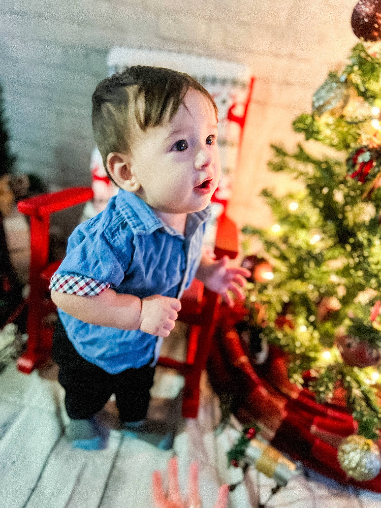 Ezra joined the competition — help win amazing prizes! baby, baby_toddler_clothing, child, christmas, christmas_decoration, christmas_eve, christmas_ornament, christmas_tree, conifer, event, evergreen, fun, happy, holiday, holiday_ornament, ornament, person, sitting, sleeve, standing