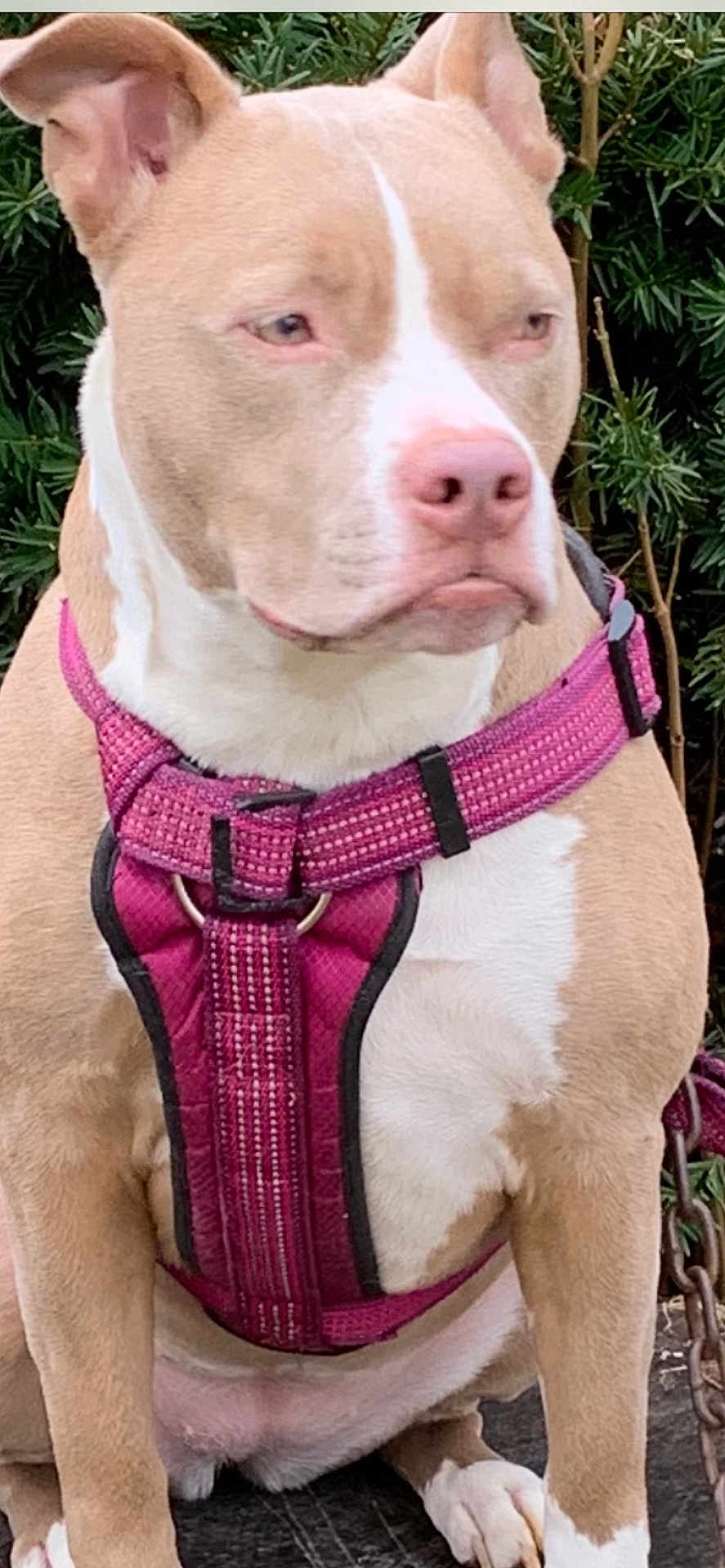 Ruby