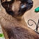 Berlioz