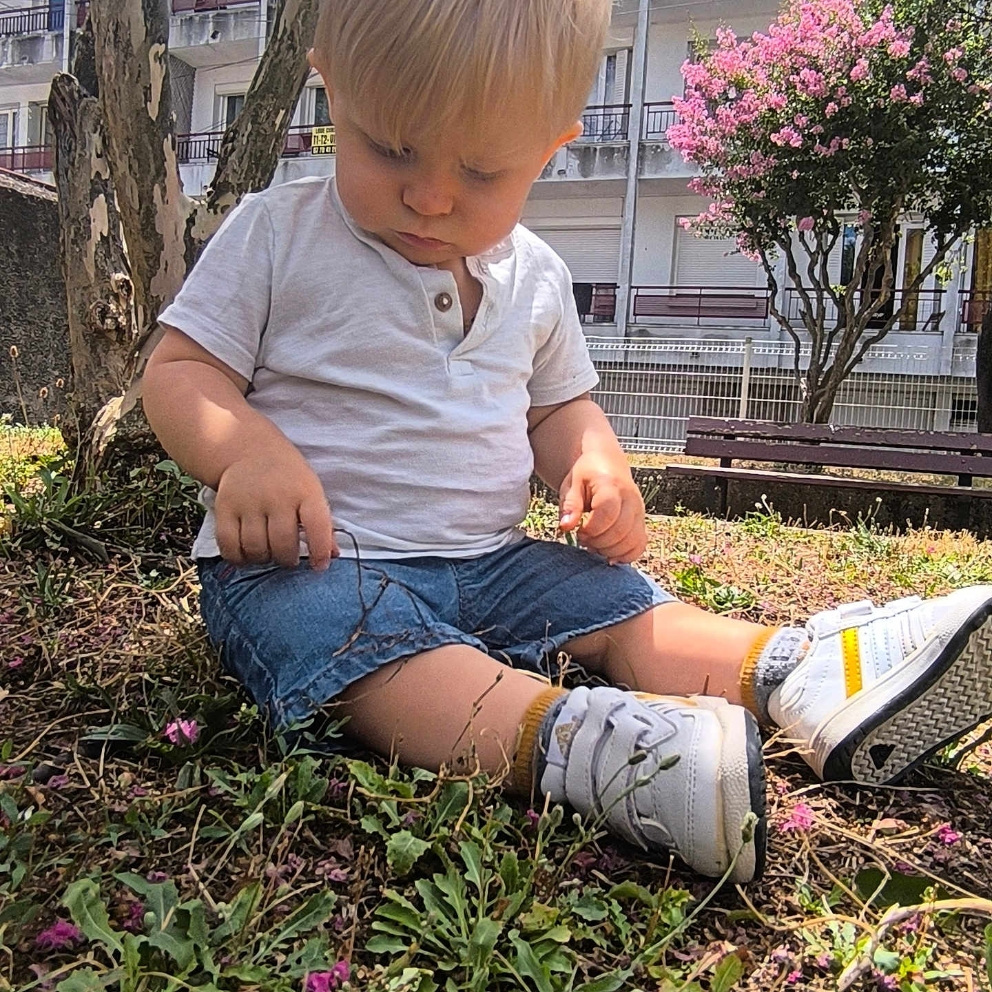 Léo a rejoint le concours — aidez-le/la à gagner de superbes lots ! balconies, building, casual_clothing, child, curly_hair, daylight, denim_shorts, flowers, grass, nature, outdoor, plants, sitting, thoughtful, toddler, tree, urban, white_shirt, white_sneakers, yellow_accents