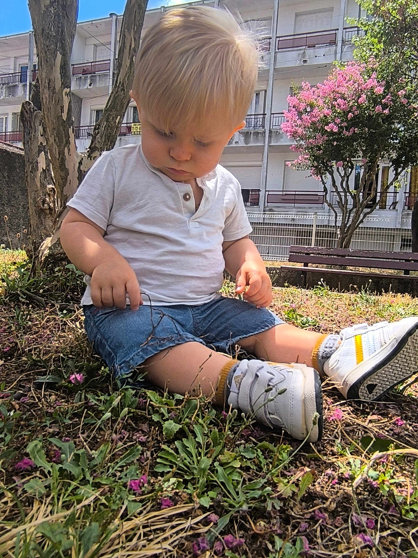 Léo a rejoint le concours — aidez-le/la à gagner de superbes lots ! toddler, child, sitting, grass, plants, flowers, tree, white_shirt, denim_shorts, white_sneakers, yellow_accents, outdoor, daylight, urban, building, balconies, nature, curly_hair, casual_clothing, thoughtful