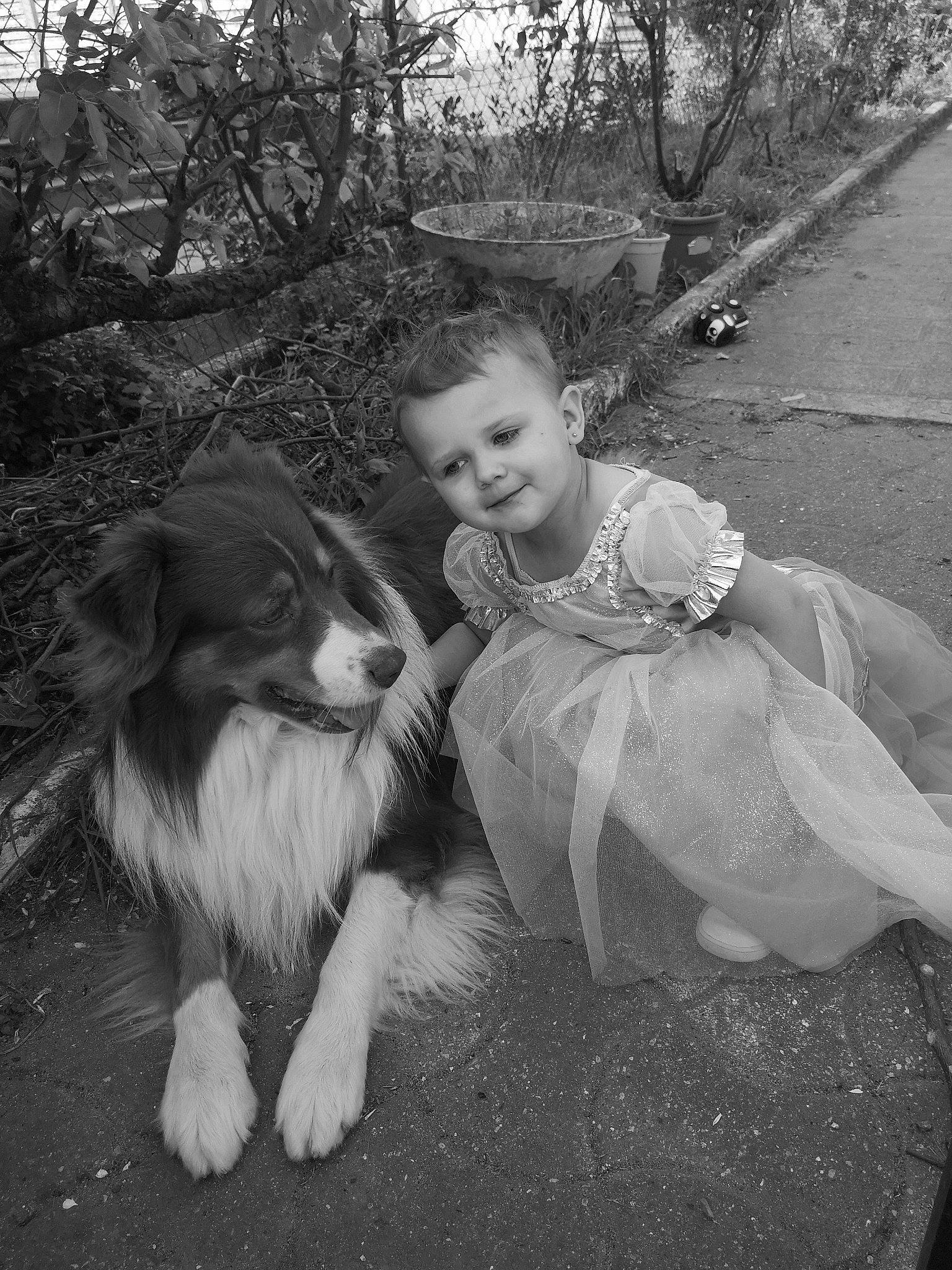 Nikson a rejoint le concours — aidez-le/la à gagner de superbes lots ! australian_shepherd, black_and_white, canidae, carnivore, child, collie, companion_dog, dog, dog_breed, monochrome, monochrome_photography, people, photograph, photography, snapshot, sporting_group, style