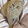 Minou