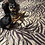 animal, bed, black, blanket, brown, cozy, dog, domestic, fabric, fur, indoor, lying_down, messy, motion_blur, pet, playful, resting, sleeping_area, two_animals, zebra_pattern