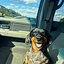 Rowdy Wofford is registered to the contest to win money with this photo: dog, dachshund, car_interior, seat, sunlight, smiling, happy, pet, animal, window, sky, clouds, shadow, dashboard, leather_seat, seatbelt, portrait, closeup, daytime, cute