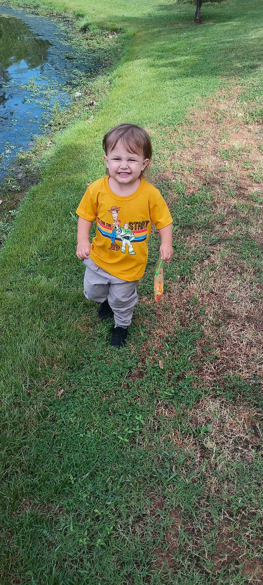 Carter joined the competition — help win amazing prizes! baby_toddler_clothing, child, deciduous, fun, garden, grass, grassland, groundcover, happy, joy, landscape, people_in_nature, person, plant, recreation, shadow, sleeve, smile, soil, toddler