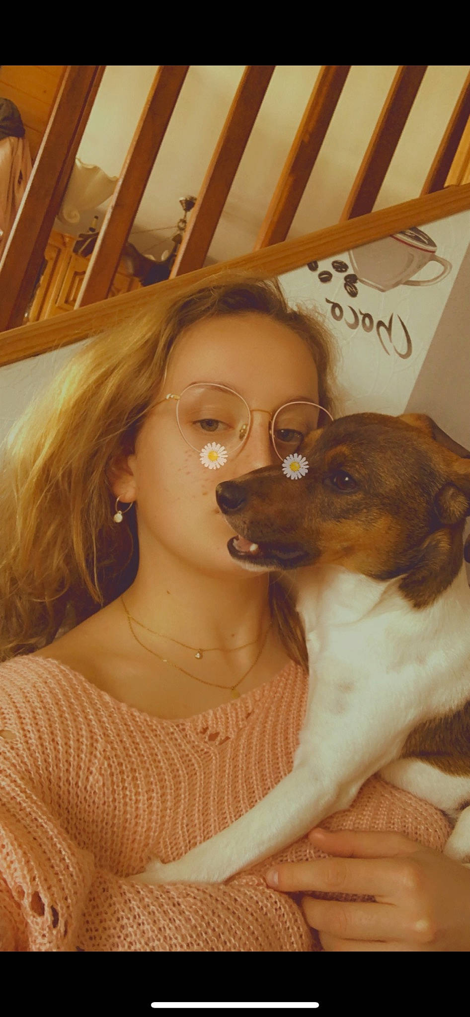 Rock participe au concours pour gagner de l'argent avec cette photo : brown_hair, carnivore, companion_dog, dog, dog_breed, ear, eye, eyebrow, eyelash, fawn, gesture, hair, happy, head, jaw, long_hair, nose, skin, snout, whiskers