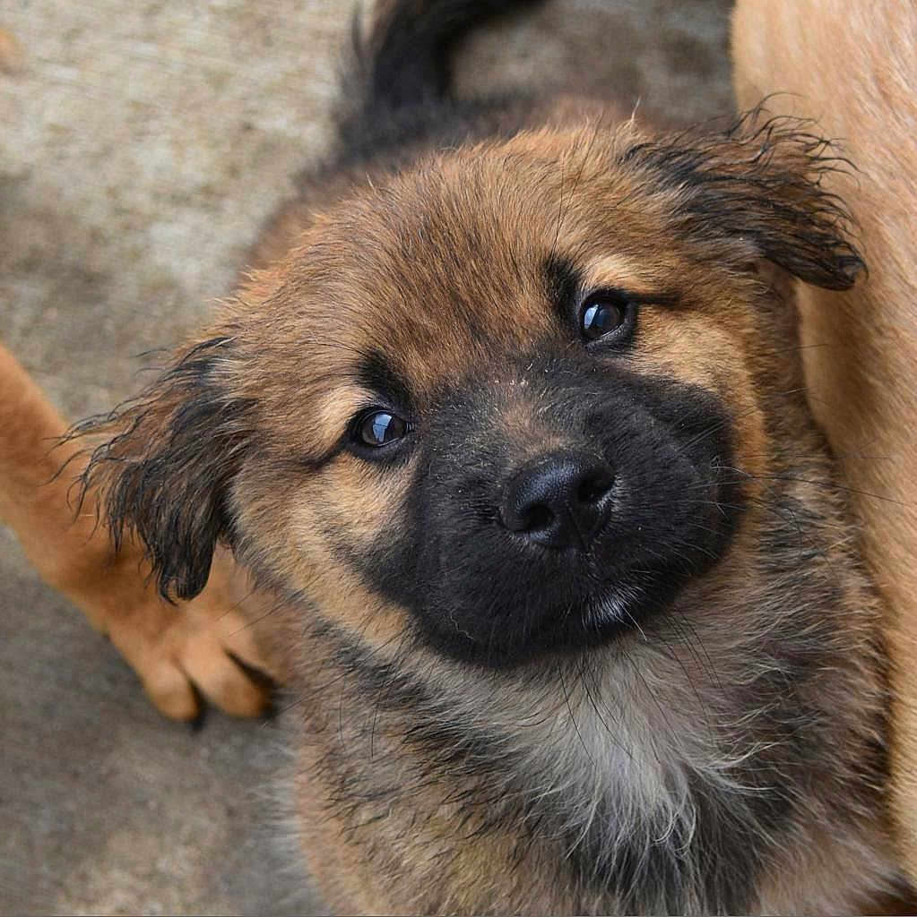 Tucker