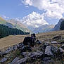 Zouma a rejoint le concours — aidez-le/la à gagner de superbes lots ! adventure, animal, canine, clouds, dog, forest, grass, hiking, landscape, mountain, nature, outdoor, pet, rocks, scenery, sky, summer, trees, valley, wildlife