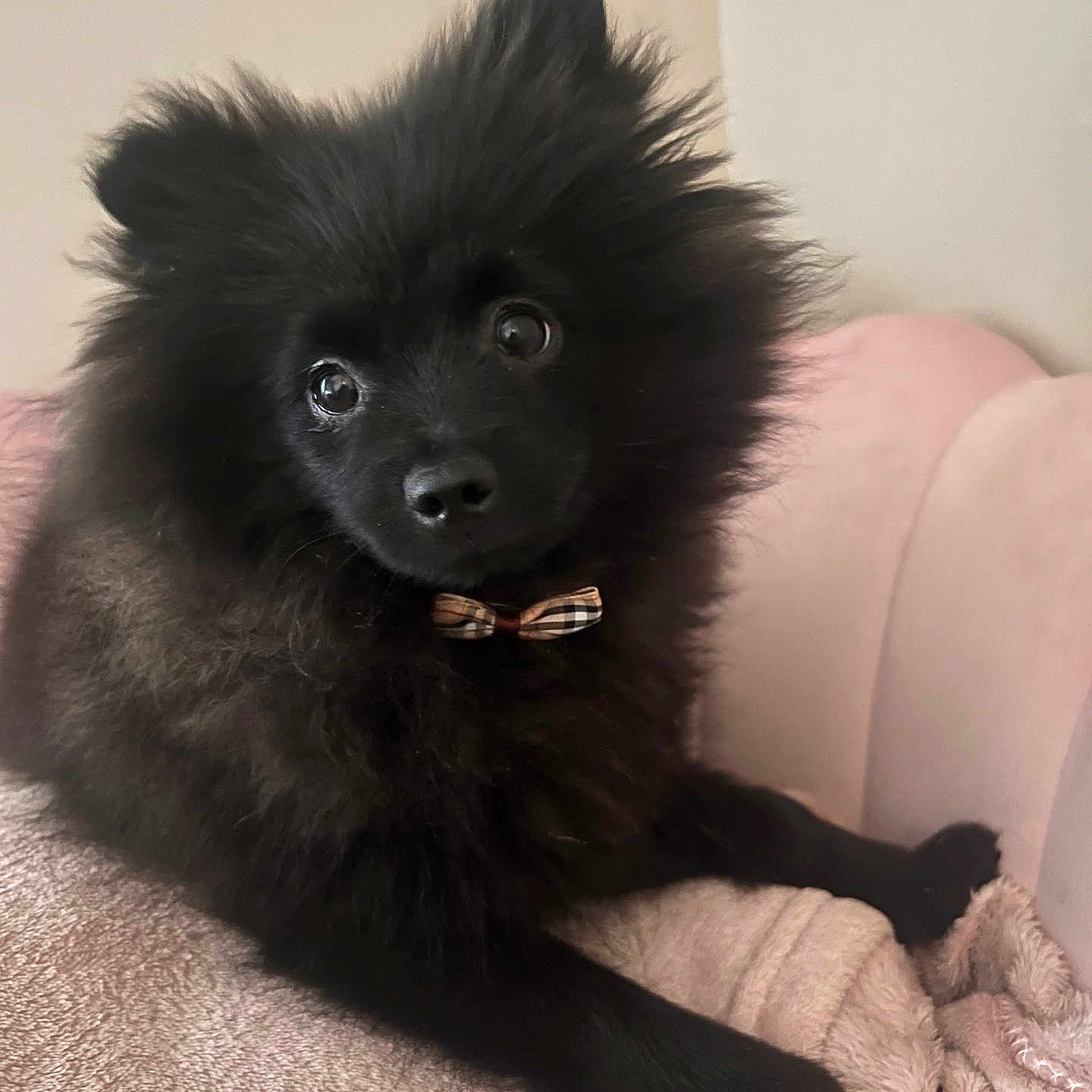 Winnie