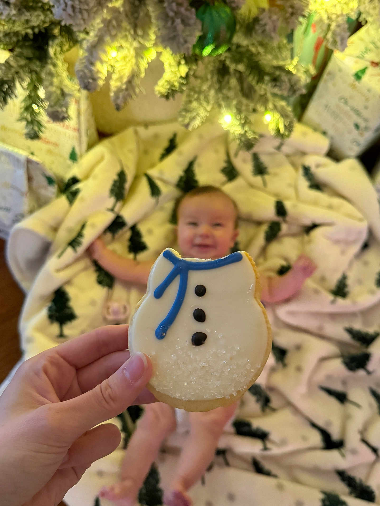 Josephine joined the competition — help win amazing prizes! baby, cookie, hand, blanket, christmas_tree_pattern, holiday_lights, gift_wrap, smile, blurred_background, snowman_cookie, infant, festive, indoor, celebration, cozy, decorations, warm_lighting, person, food, sweet