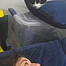 black_and_white_cat, blue_pillow, casual, cat, couch, cozy, curious, face, furniture, head, home, indoor, looking_up, person, pillow, plastic_container, relaxed, resting, smile, storage