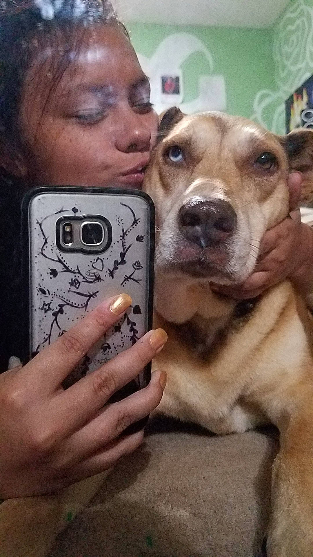 Shiva joined the competition — help win amazing prizes! american_pit_bull_terrier, canidae, carnivore, companion_dog, dog, dog_breed, fawn, person, photo_caption, photography, pit_bull, puppy_love, selfie, snout